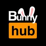 Download Bunny Hub Version 1.0.2 Vip unlocked