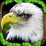 Download Eagle Game Unlimited energy Version 3.0